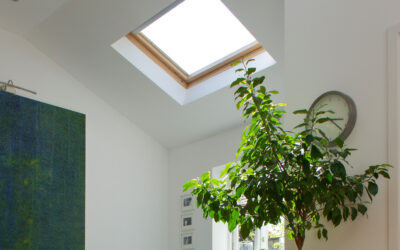 Illuminez votre intérieur avec Velux : Découvrez les avantages des fenêtres de toit